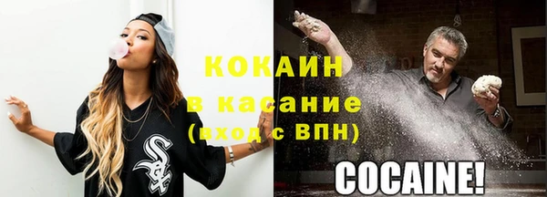 молекула духа Инсар