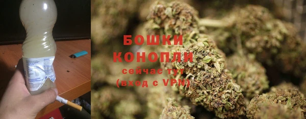 молекула духа Инсар