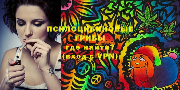 молекула духа Инсар